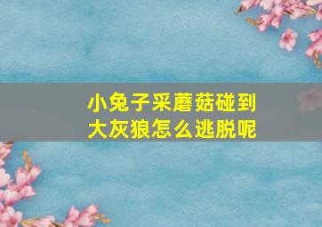 小兔子采蘑菇碰到大灰狼怎么逃脱呢