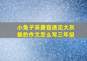 小兔子采蘑菇遇见大灰狼的作文怎么写三年级