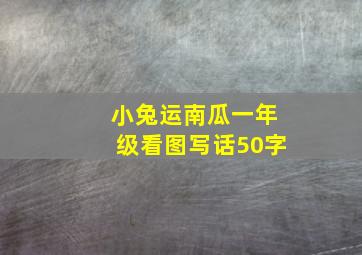 小兔运南瓜一年级看图写话50字