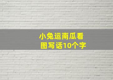 小兔运南瓜看图写话10个字