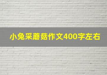 小兔采蘑菇作文400字左右