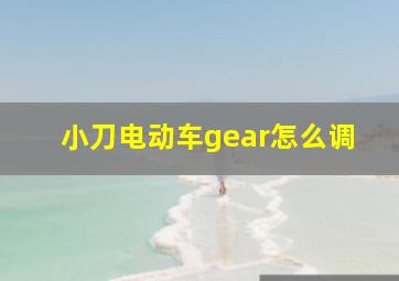 小刀电动车gear怎么调