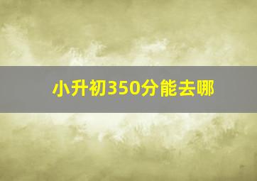 小升初350分能去哪