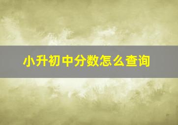 小升初中分数怎么查询