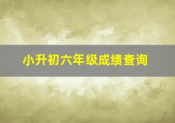 小升初六年级成绩查询