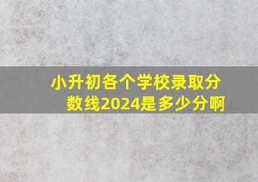 小升初各个学校录取分数线2024是多少分啊