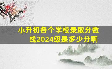 小升初各个学校录取分数线2024级是多少分啊