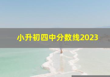 小升初四中分数线2023