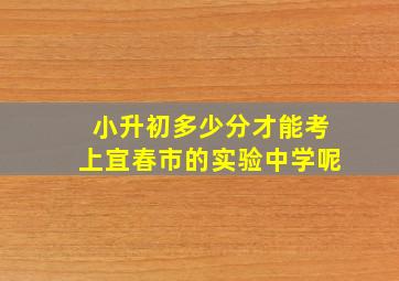 小升初多少分才能考上宜春市的实验中学呢