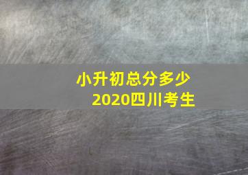 小升初总分多少2020四川考生