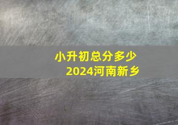 小升初总分多少2024河南新乡