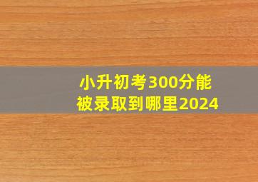 小升初考300分能被录取到哪里2024