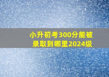 小升初考300分能被录取到哪里2024级