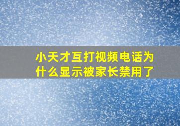 小天才互打视频电话为什么显示被家长禁用了