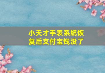 小天才手表系统恢复后支付宝钱没了