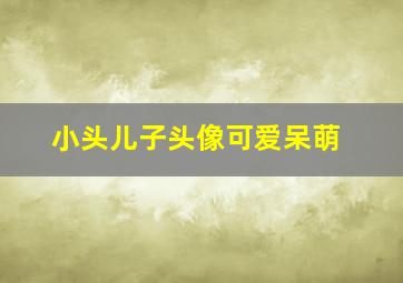 小头儿子头像可爱呆萌