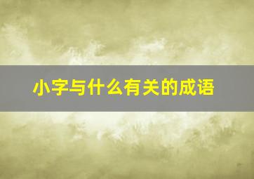 小字与什么有关的成语