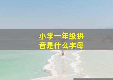 小学一年级拼音是什么字母