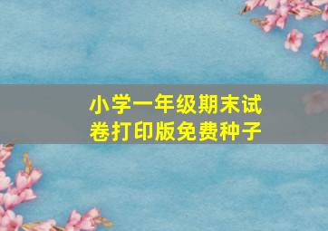 小学一年级期末试卷打印版免费种子