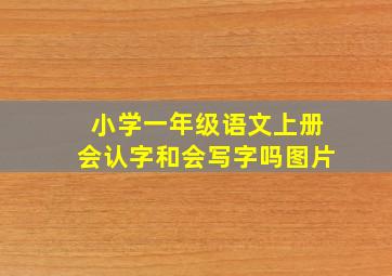 小学一年级语文上册会认字和会写字吗图片