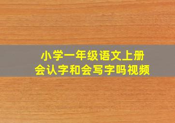 小学一年级语文上册会认字和会写字吗视频