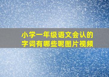 小学一年级语文会认的字词有哪些呢图片视频