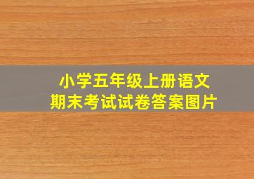 小学五年级上册语文期末考试试卷答案图片