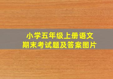 小学五年级上册语文期末考试题及答案图片