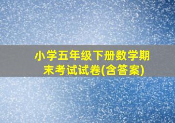 小学五年级下册数学期末考试试卷(含答案)