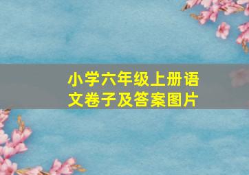 小学六年级上册语文卷子及答案图片