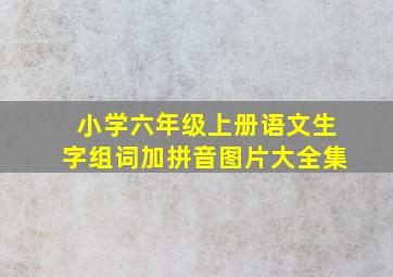 小学六年级上册语文生字组词加拼音图片大全集