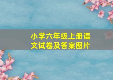 小学六年级上册语文试卷及答案图片