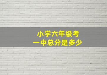 小学六年级考一中总分是多少