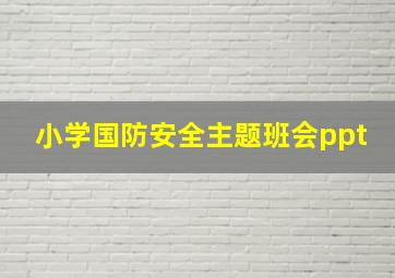 小学国防安全主题班会ppt