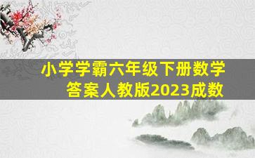 小学学霸六年级下册数学答案人教版2023成数