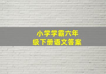 小学学霸六年级下册语文答案