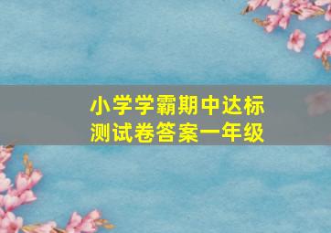 小学学霸期中达标测试卷答案一年级