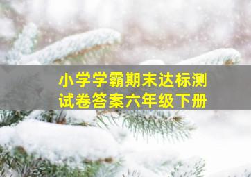 小学学霸期末达标测试卷答案六年级下册