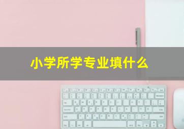 小学所学专业填什么