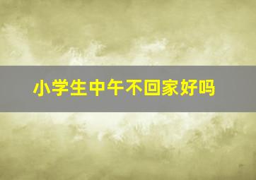 小学生中午不回家好吗