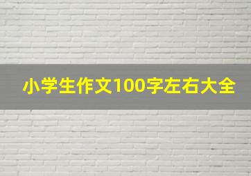 小学生作文100字左右大全