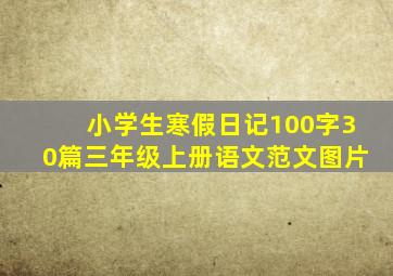 小学生寒假日记100字30篇三年级上册语文范文图片