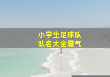 小学生足球队队名大全霸气