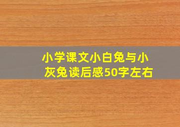 小学课文小白兔与小灰兔读后感50字左右