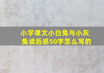 小学课文小白兔与小灰兔读后感50字怎么写的