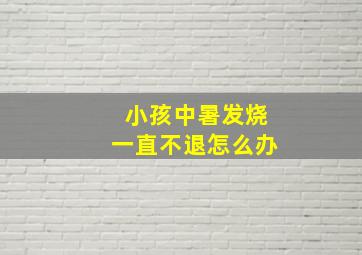 小孩中暑发烧一直不退怎么办