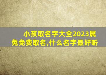 小孩取名字大全2023属兔免费取名,什么名字最好听