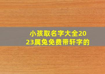 小孩取名字大全2023属兔免费带轩字的