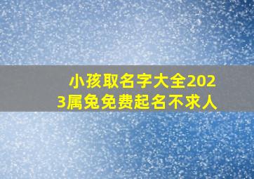 小孩取名字大全2023属兔免费起名不求人