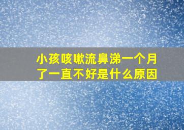 小孩咳嗽流鼻涕一个月了一直不好是什么原因